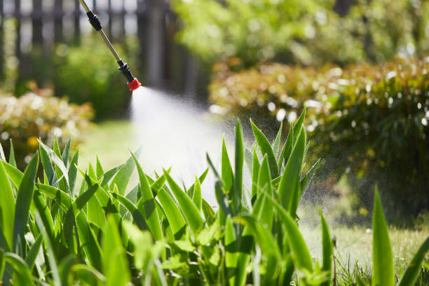 24/7 Emergency Mosquito Control experts in Garden Plain, KS